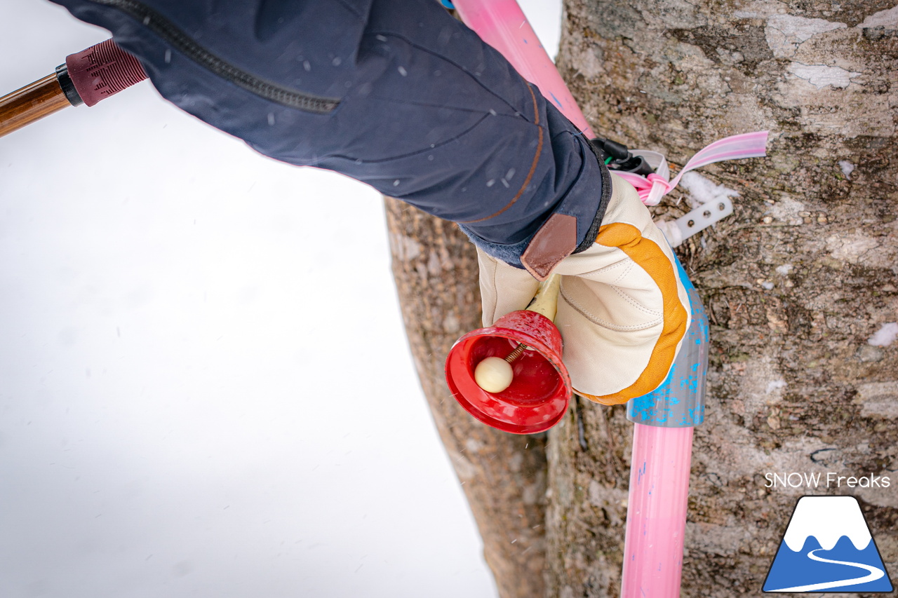 富良野スキー場｜スキーやスノーボードが初めての子供たちや初級者でも、ゲレンデの楽しさを味わえる工夫がいっぱい♪みんなに優しいスノーリゾート・富良野スキー場(^^)/